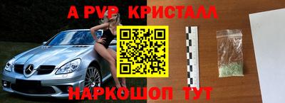 бошки Гусев
