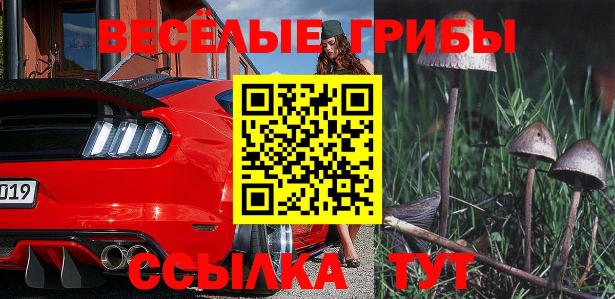 Мурино  купить наркотики сайты  Вход с VPN  Галлюциногенные грибы Magic Shrooms 