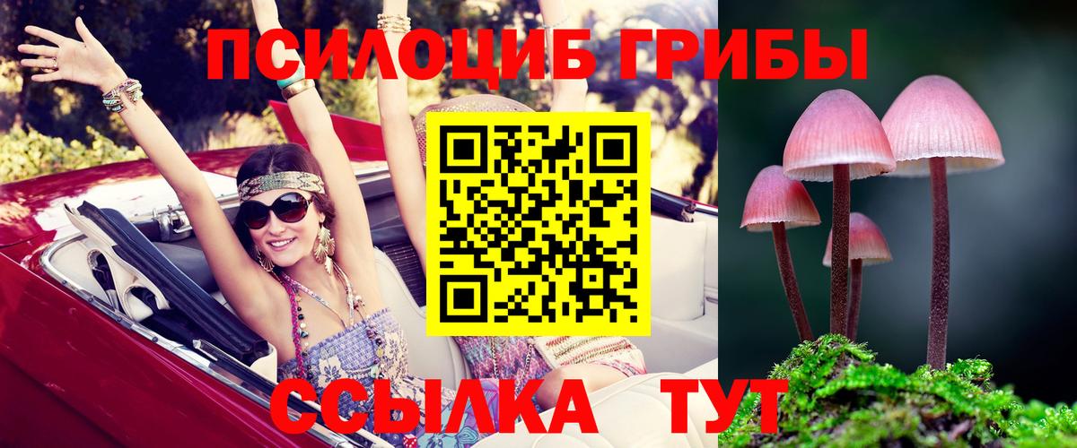 Галлюциногенные грибы мухоморы Мурино